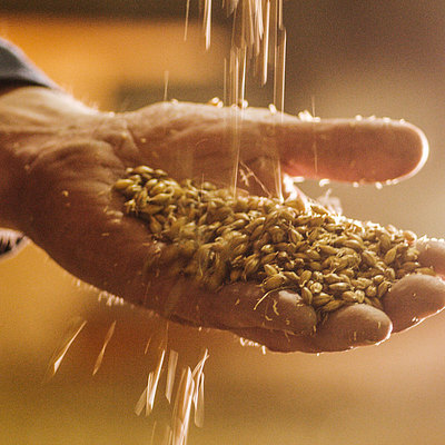 シングルモルトウイスキー ザ・グレンリベット 12年 700ml | ペルノ・リカール正規輸入品〔0170〕