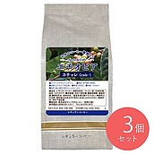 【お取り寄せ】【WN】サンパウロコーヒー エチオピア イルガチェフェG1 水洗式 200g×3袋【豆】| 沖縄・離島配送不可