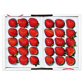 【お歳暮】【WNF】福岡県産 あまおういちご(スーパー) 15粒×2 | 着日指定不可 / 12月1日より順次お届け