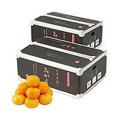 【お歳暮】【WNF】和歌山県有田郡 三孝農園みかん 5.0kg(Mサイズ) | 着日指定不可 / 12月1日より順次お届け