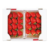 【お歳暮】【WNF】福岡県産 あまおういちご(デラックス) 2パック入| 12月1日より順次お届け