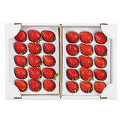 【お歳暮】【WNF】栃木県産 栃乙女いちご | 着日指定不可 / 12月1日より順次お届け