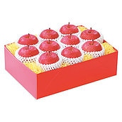 【お歳暮】【WNF】青森県産 蜜入りサンふじ | 着日指定不可 / 12月1日より順次お届け