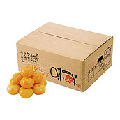 【お歳暮】【WNF】熊本県産 汐みかん 5.0kg(Sサイズ) | 着日指定不可 / 12月1日より順次お届け