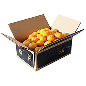 【お歳暮】【WNF】愛媛県産 小林果園 媛一みかん 5.0kg(Sサイズ) | 12月1日より順次お届け