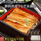 【お取り寄せ】【WNF】成城石井バイヤーセレクト!静岡うなぎ漁業協同組合 静岡県産うなぎ長蒲焼 3尾セット(1尾約120g×3パック) | 着日指定不可