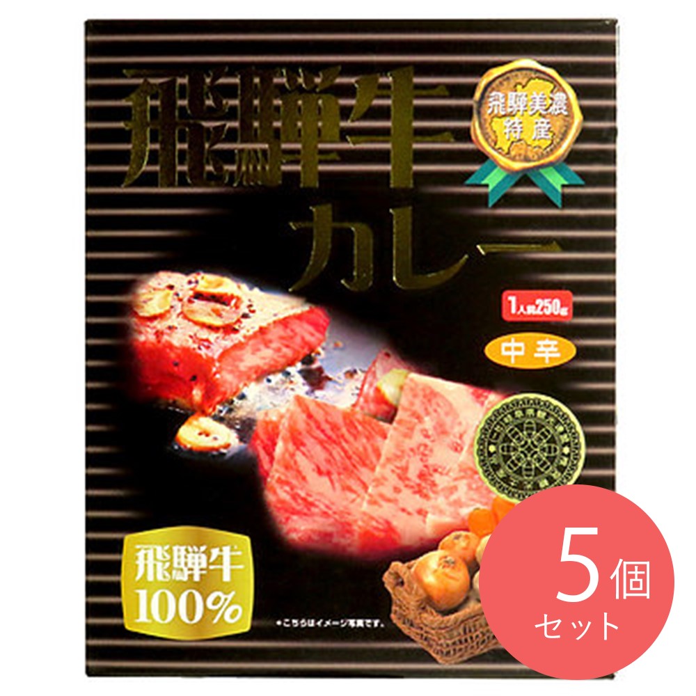 覇楼館 飛騨牛カレー 250g×5個