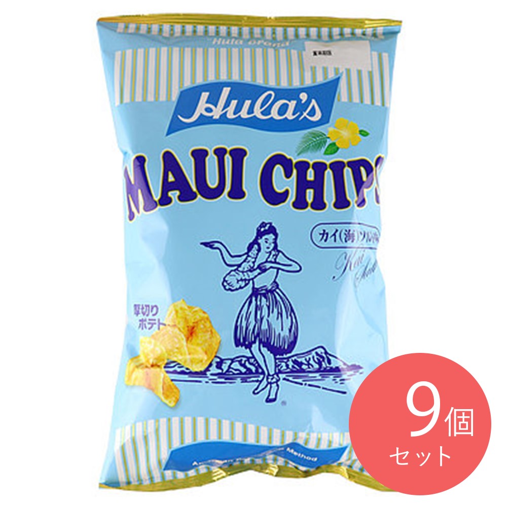 ソシオ工房 マウイチップス スカイソルト味 140g×9個