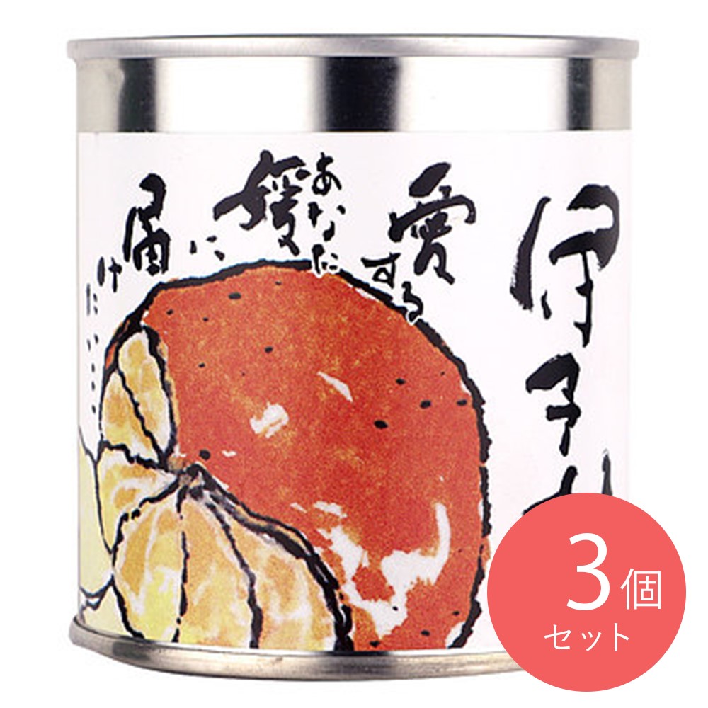 BEMAC しまなみ伊予柑 固形量170g×3個