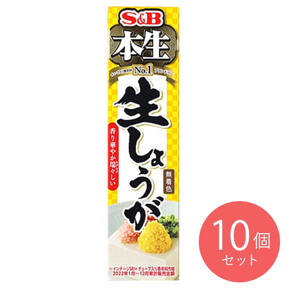 エスビー食品 本生 生しょうが 40g×10個