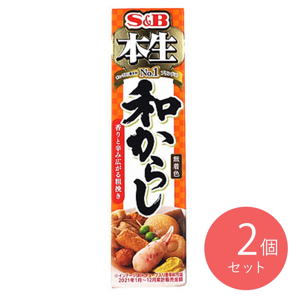 エスビー食品 本生和からし 43g×2個