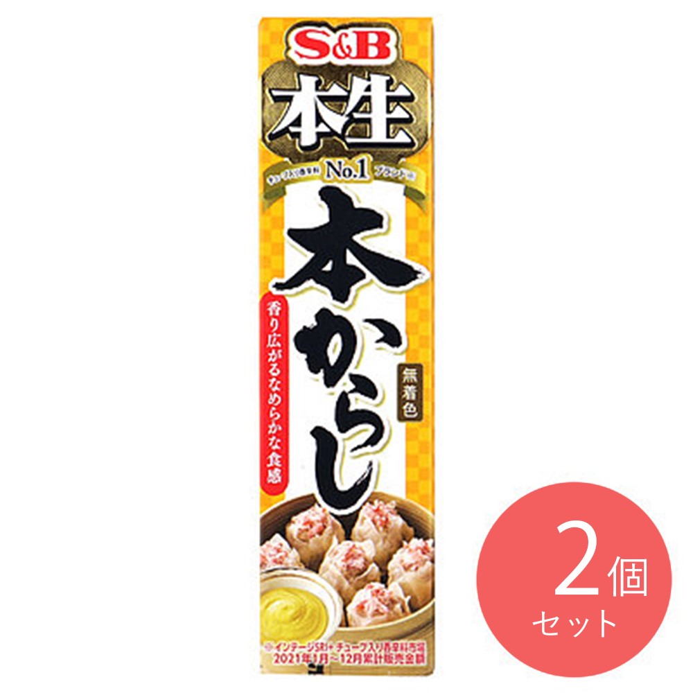 エスビー食品 本生本からし 43g×2個