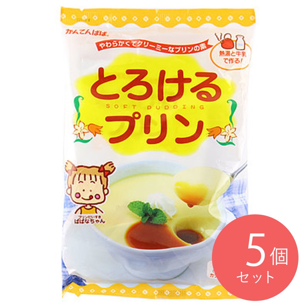 伊那食品 とろけるプリン 210g×5個