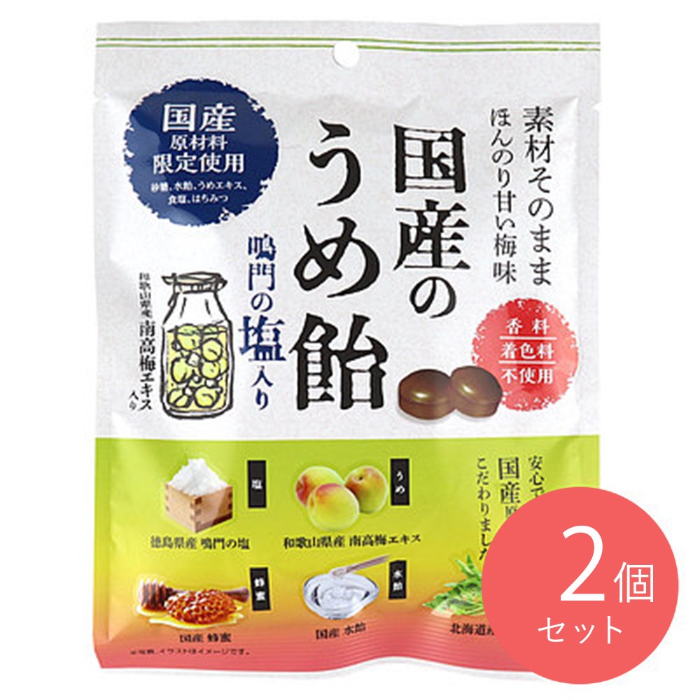 加藤製菓 国産うめ飴 70g×2個