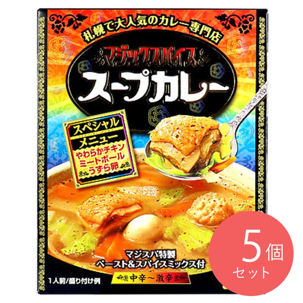 マジックスパイス スープカレー スペシャルメニュー 307g×5個