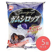 日新製糖 ガムシロップ (11g×20個)×5袋