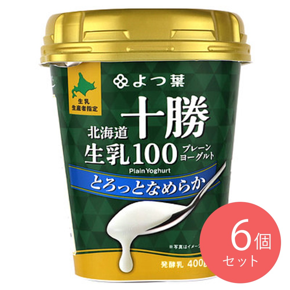 よつ葉 北海道十勝生乳100とろっとなめらかヨーグルト 400g×6個