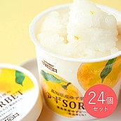 【送料込み】成城石井 高知県産ゆず果汁使用 ゆずSORBET 122ml×24個