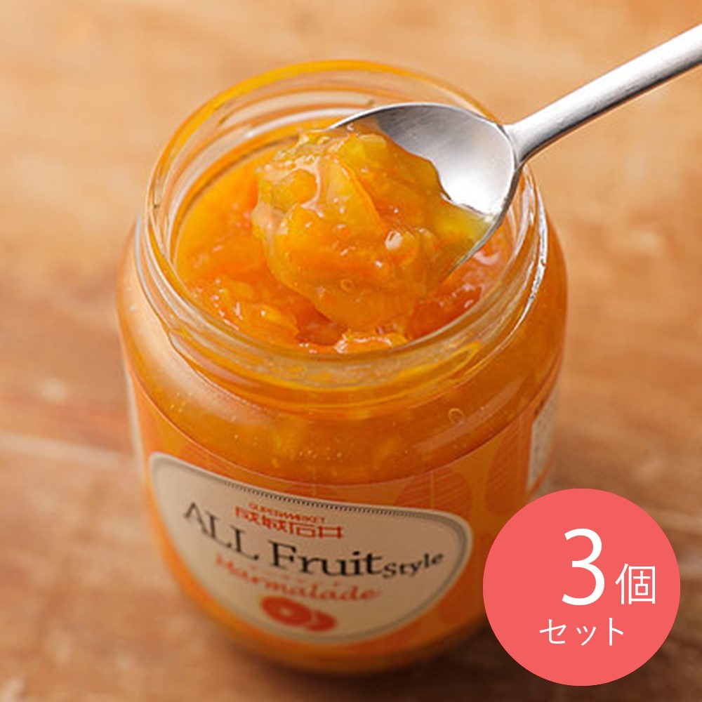 成城石井 オールフルーツスタイル マーマレード 265g×3個