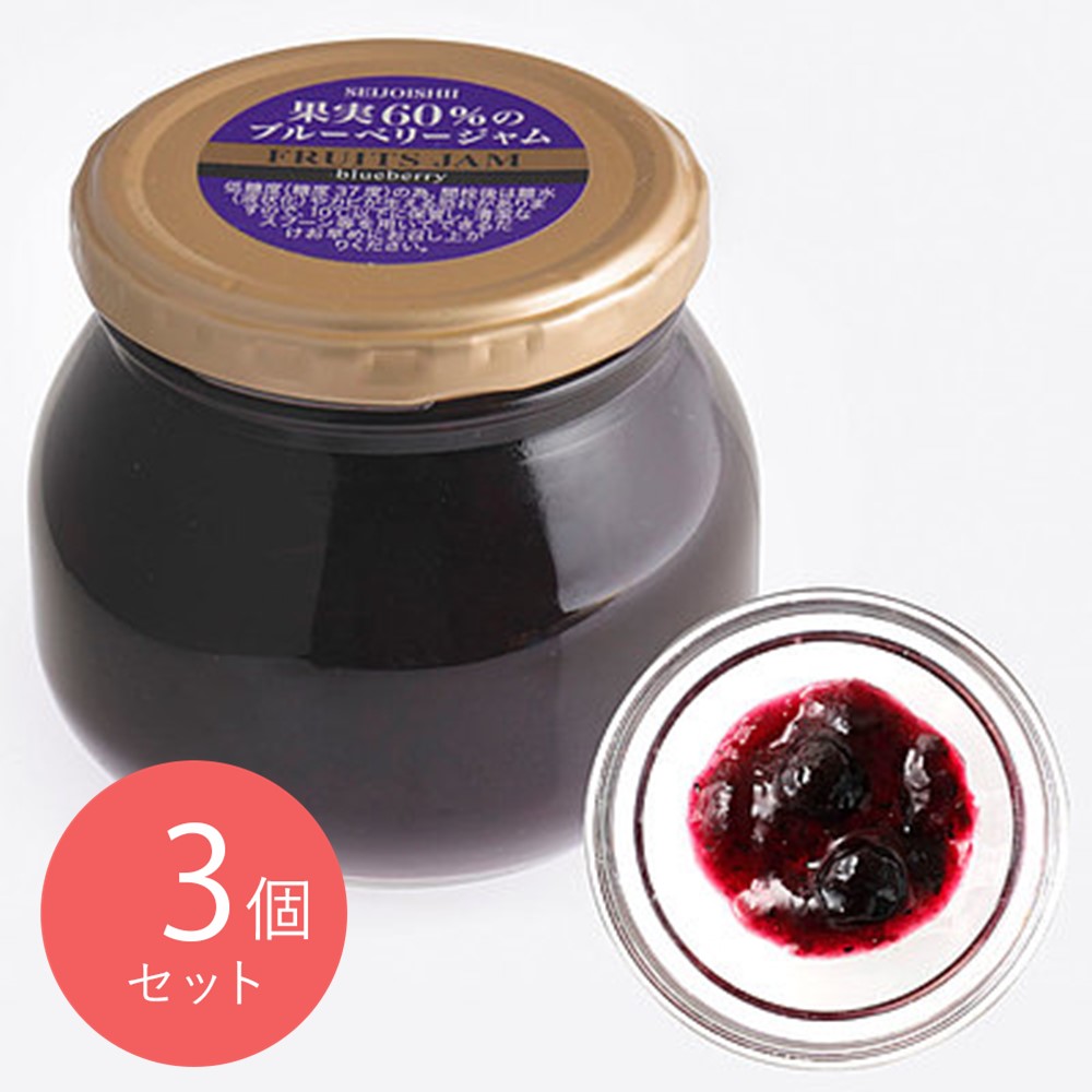 成城石井 果実60%のブルーベリージャム 【小瓶】 290g×3個