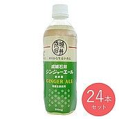 【EK】【送料込み】成城石井 ジンジャーエール 500ml×24本【ケース販売】