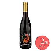 【送料込み】フランス カーヴ ド ジュリエナス ボージョレ・ヴィラージュ・ヌーヴォ 750ml×2本セット | 解禁日以降のお届けとなります。 / 2025ヌーヴォ