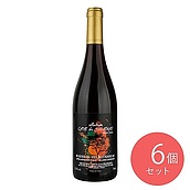 【送料込み】フランス カーヴ ド ジュリエナス ボージョレ・ヴィラージュ・ヌーヴォ 750ml×6本セット | 解禁日以降のお届けとなります。 / 2025ヌーヴォ