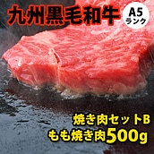 【お取り寄せ】【S】九州黒毛和牛 A5ランク 焼き肉セット 【B】 500g | D+2 / 年内お届け12月25日注文まで / 12月31日-1月7日着不可