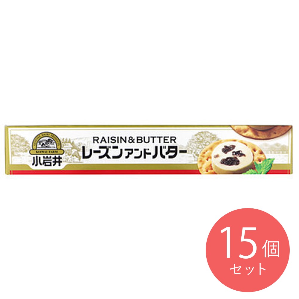 小岩井 レーズンアンドバター 75g×15個