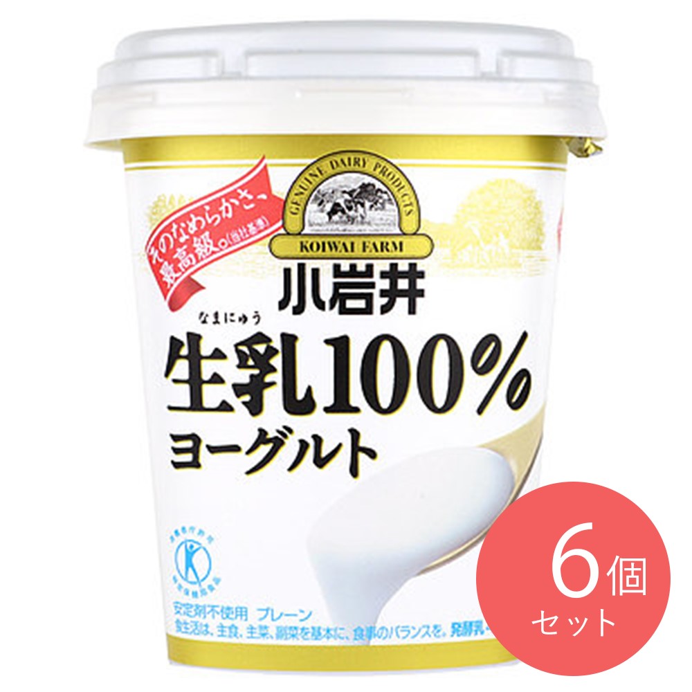 小岩井 生乳100％ヨーグルト 400g×6個