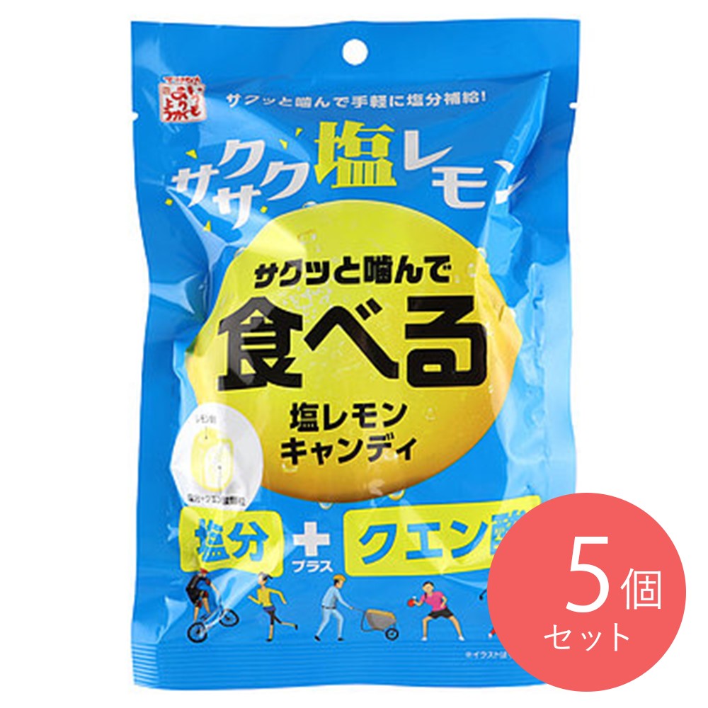 松屋製菓 食べる塩レモンキャンディ 80g×5袋