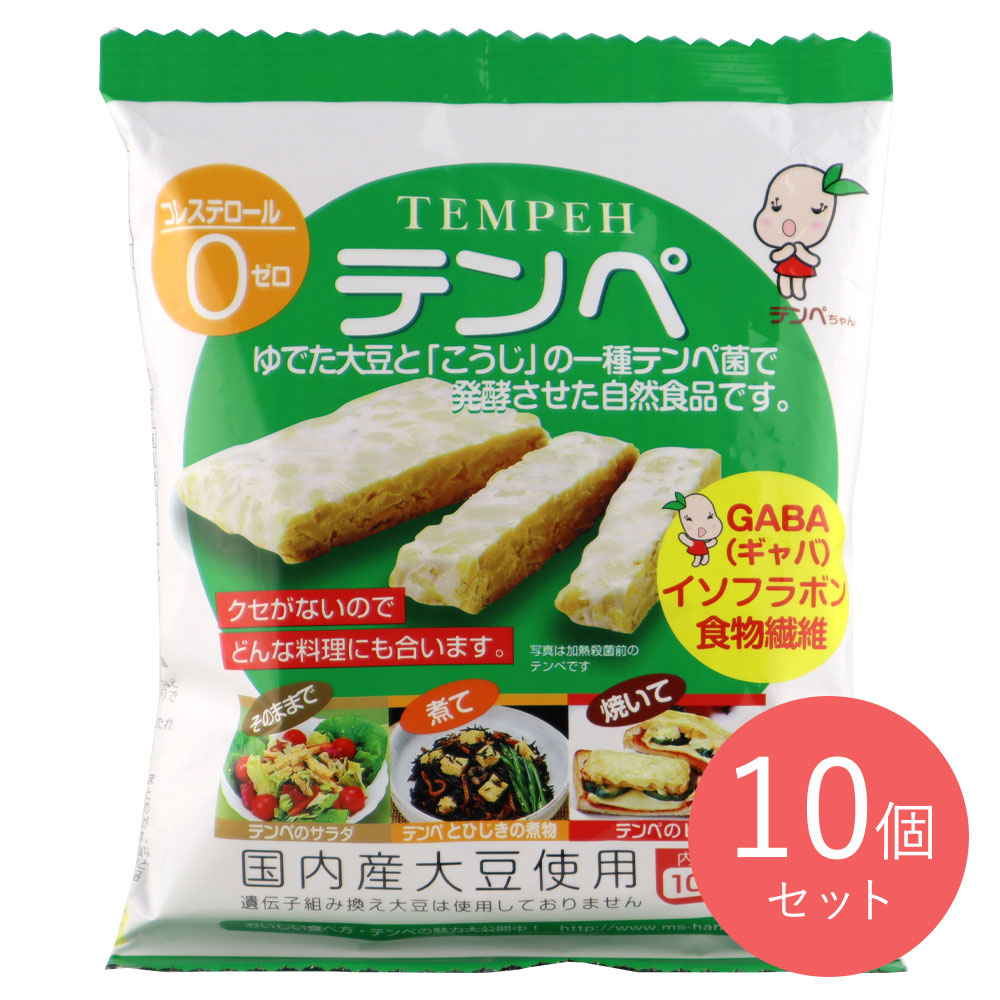 マルシン食品 テンペ 100g×10個