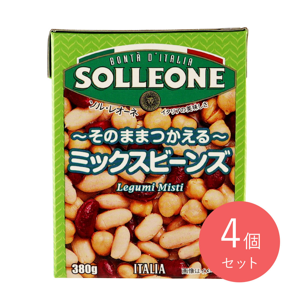 ソル・レオーネ ミックスビーンズ 固形量230g×4個