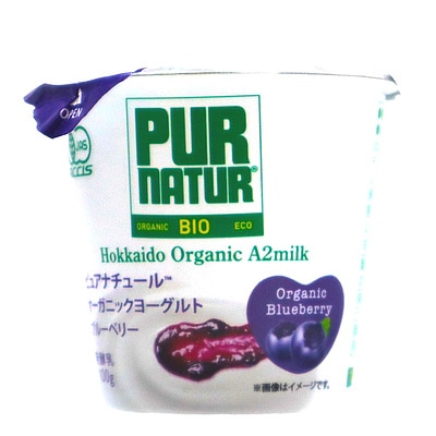ピュアナチュール オーガニックヨーグルトブルーベリ100g | D+2