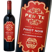 イタリア ペル・テ ピノノワール アパッシメント 750ml