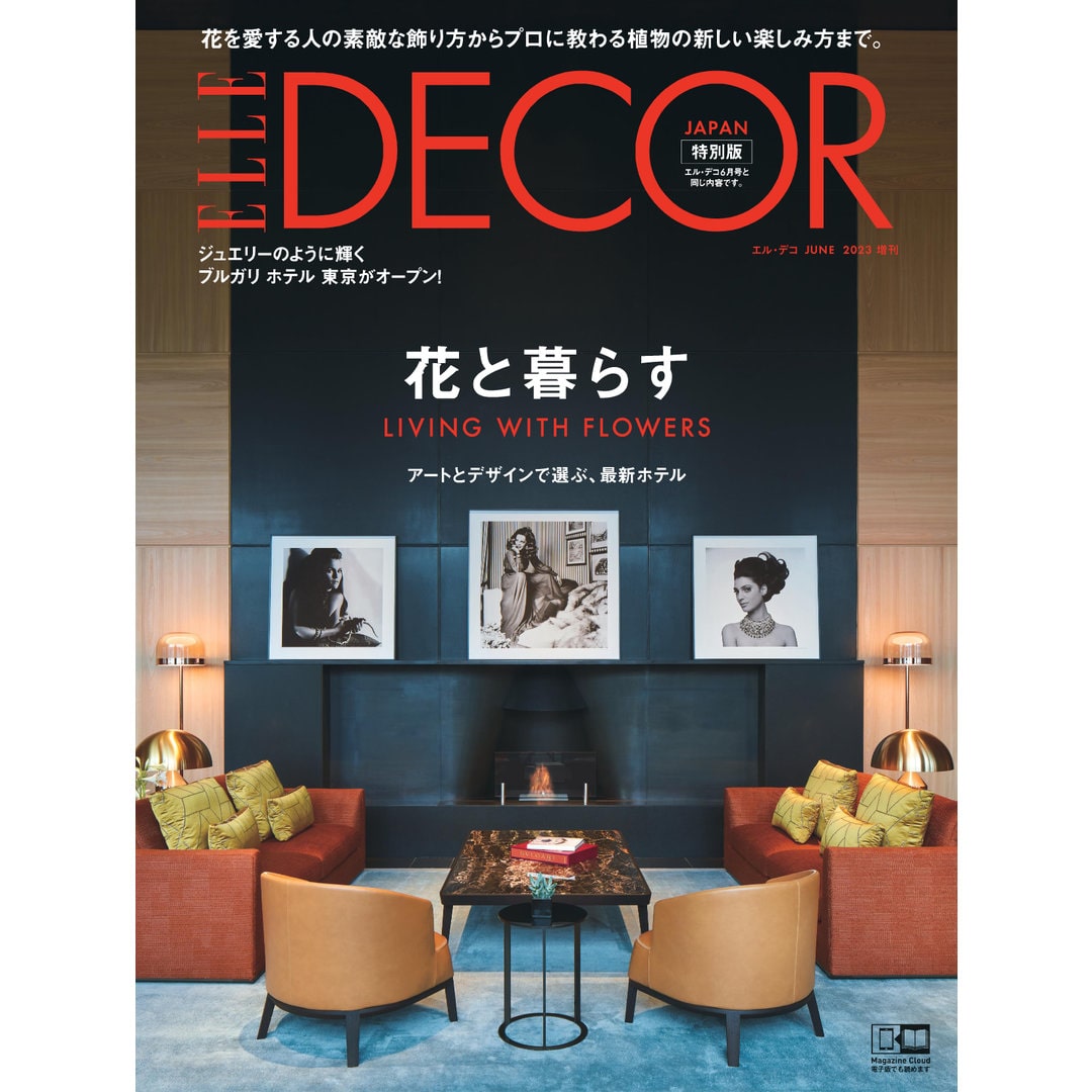 ELLE DECO エルデコ 3冊セット インテリア雑誌 最高 - 趣味・スポーツ