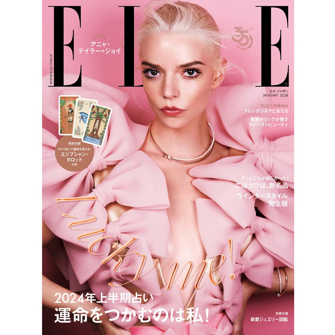 雑誌 ELLE JAPON 2023年11月号増刊 平野紫耀 特別版 - 女性情報誌