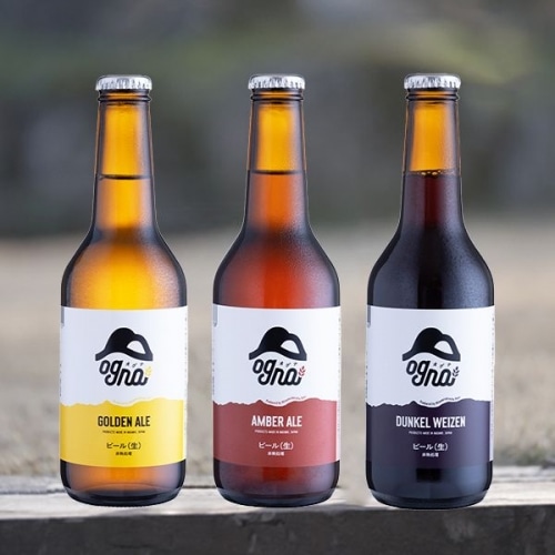 【冷蔵】<OGNA> 南信州ビール 6本セットA