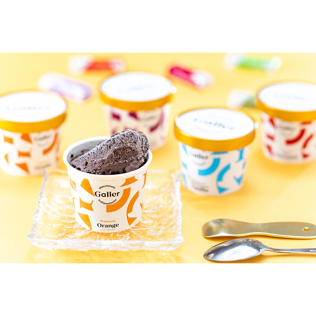【冷凍】＜ガレー＞　プレミアムアイスクリーム８個セット