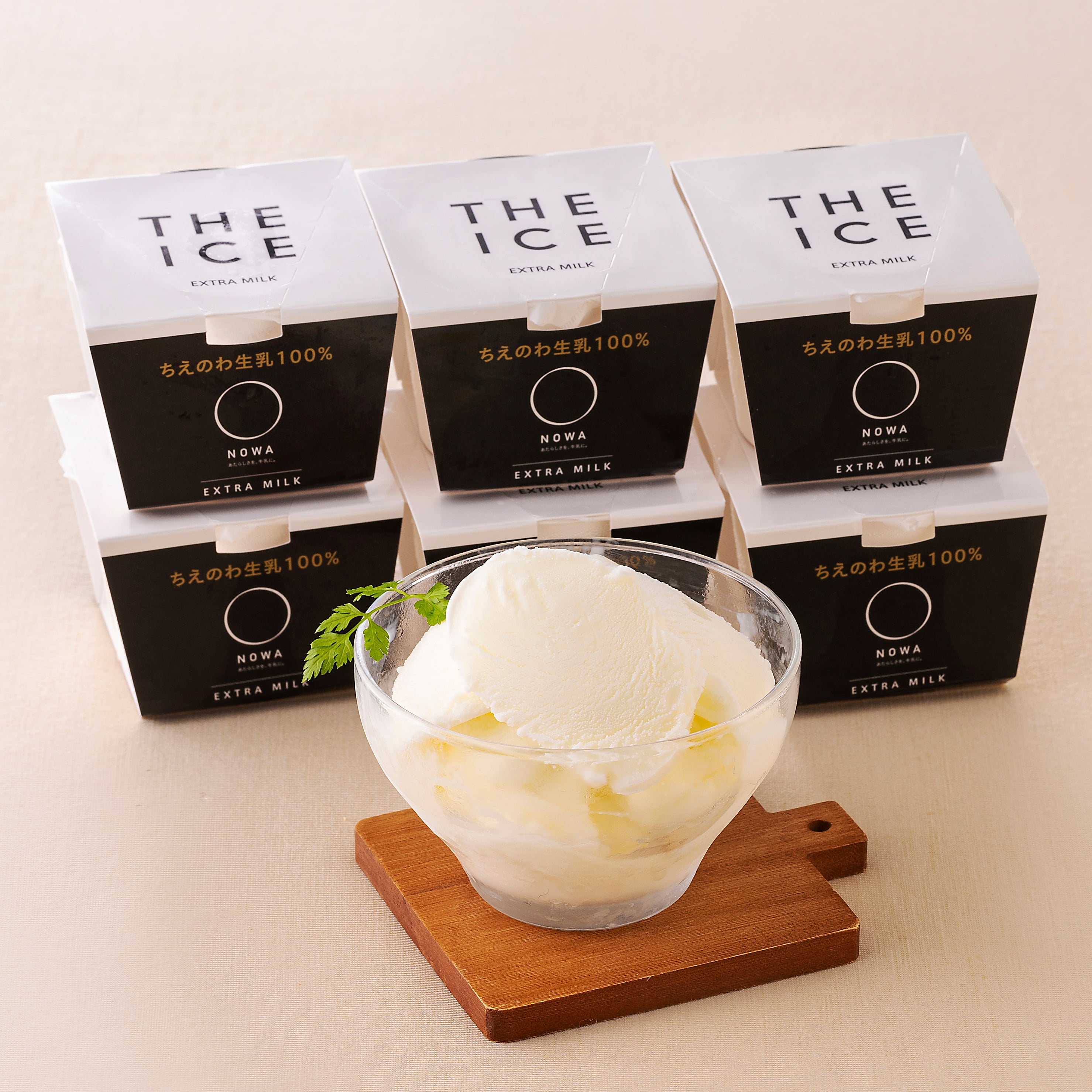 【冷凍】＜ちえのわ事業協同組合＞　「THE ICE」エキストラミルク6個（アイスクリーム）