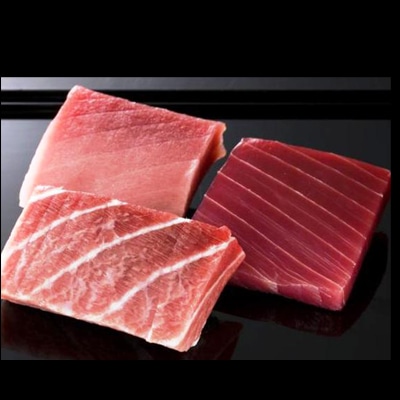 【冷凍】＜神奈川「三浦三崎」＞ 本まぐろ