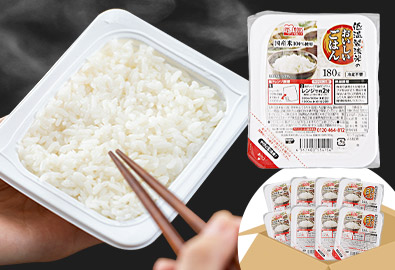 パックごはん 180g×48パック