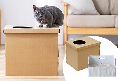 上から段ボール 猫トイレ