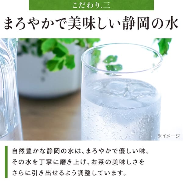 24本】ミツウロコ 静岡茶 500ml お茶 ペットボトル 緑茶 静岡茶 静岡県