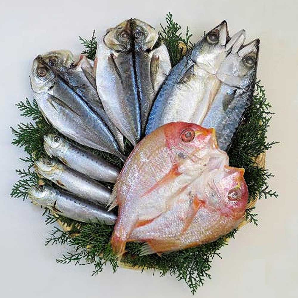 九州一夜干し 4種 <br>プレゼント ギフト 惣菜 九州 一夜干し 4種 低温熟成 五島灘 甘塩加工 セット 味紀行うち川 【TD】 【代引不可】