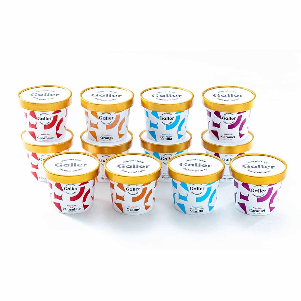 プレミアムアイスクリーム12個セット GLN-12<br>ギフト スイーツ ガレー アイスクリーム チョコレート 【TD】 【代引不可】要