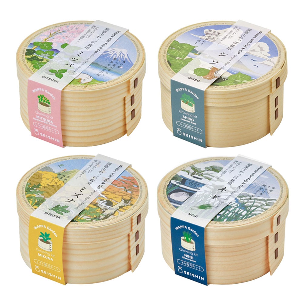【4種セット】猫富士わっぱ <br>栽培キット 栽培セット 三つ葉 しそ 水菜 ネギ 葱 聖新陶芸