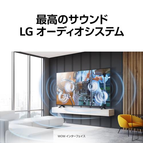 配送/設置エリア 東京23区 限定]LGエレクトロニクス 65UR8000PJB 4K