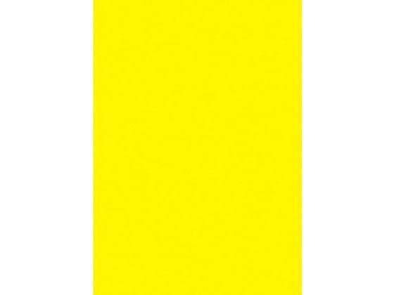 タカ印 蛍光ポスター A4 レモン 10枚[代引不可]【仕入先直送品A】｜ANA Mall｜マイルが貯まる・使えるショッピングモール