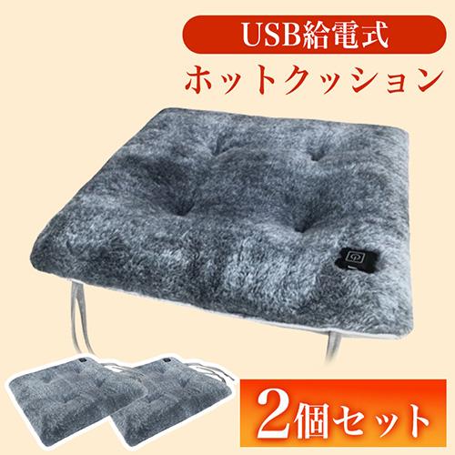 nexHOME 【2個セット】CPD38101 グラフェン素材ホットクッションケーブル付